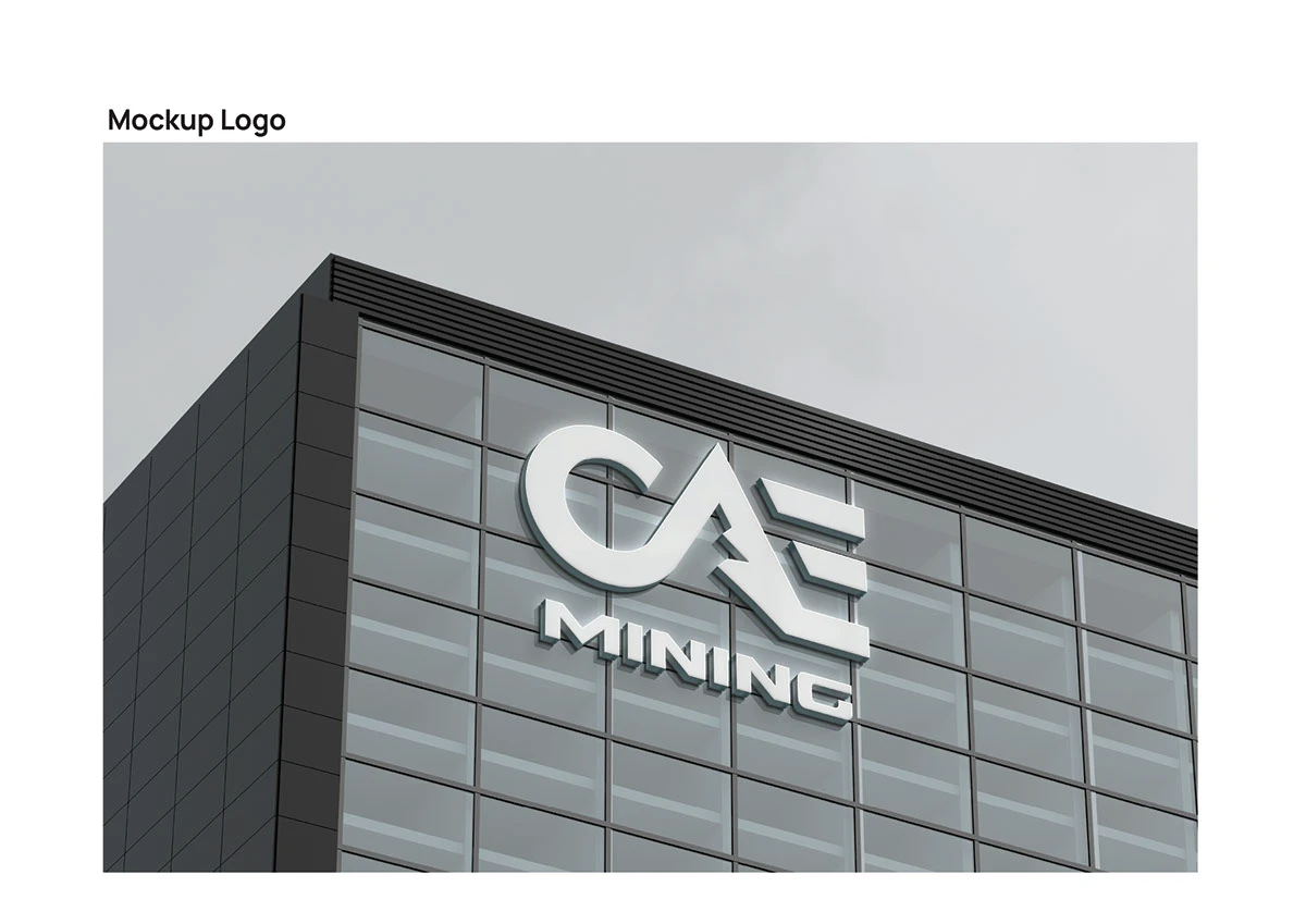 CAE — 9